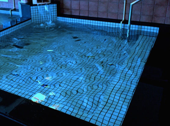 国済寺天然温泉 美肌の湯（深谷市）