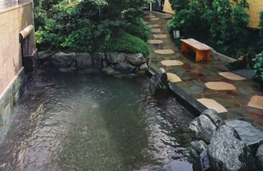 天然温泉 真名井の湯 大井店