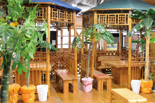 大川温泉 貴肌美人 緑の湯(大川市)