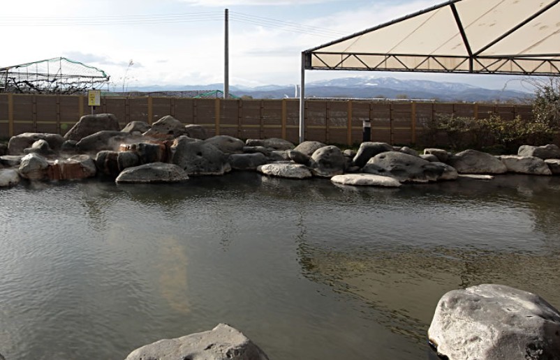 天童最上川温泉 ゆぴあ（天童市）