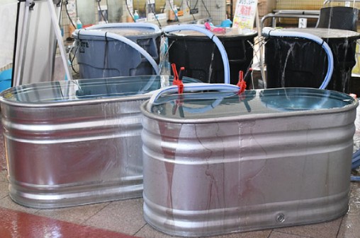 天然温泉 海王(射水市)