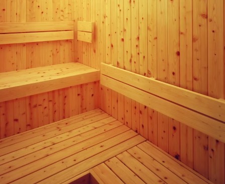 白峰温泉 総湯(白山市)