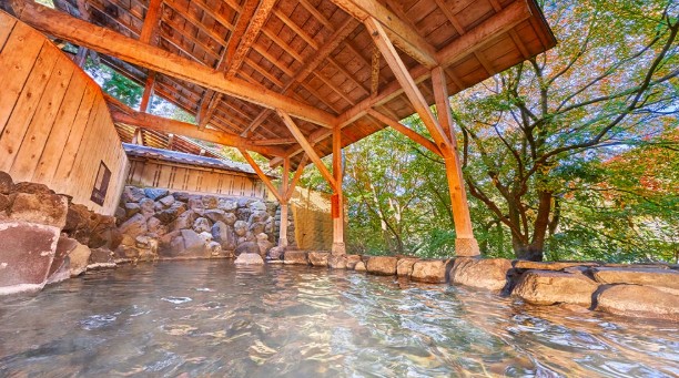 大江戸温泉物語Premium 山中グランドホテル(加賀市)