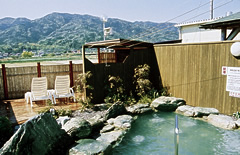 鴨島温泉鴨の湯（吉野川市）