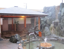 湯郷鷺温泉館(美作市)