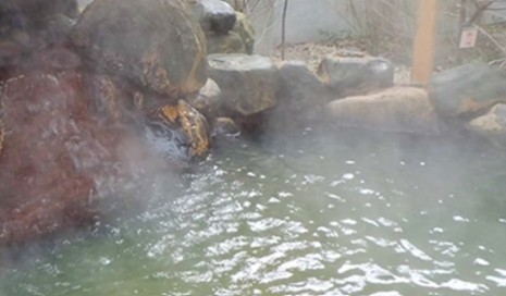 宇品天然温泉 ほの湯(広島市)