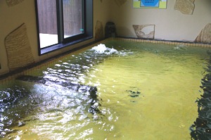 冠岳温泉(いちき串木野市)