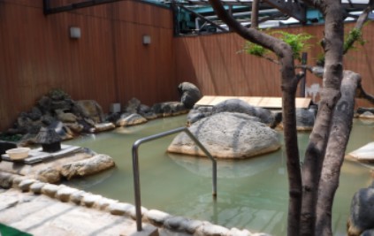 おおいた温泉物語三川の湯(大分市)